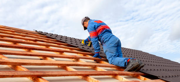 Best Asphalt Shingle Roofing  in Skagway, AK