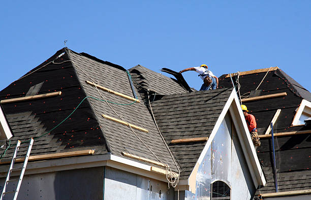 Best Roof Insulation Installation  in Skagway, AK