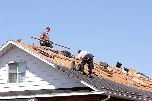 Best Roof Leak Repair  in Skagway, AK