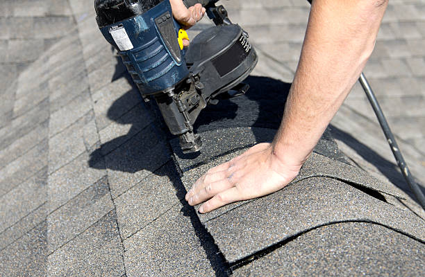 Best Roof Coating and Sealing  in Skagway, AK