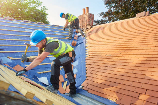 Best Gutter Installation and Repair  in Skagway, AK